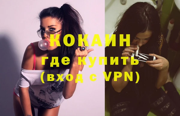 apvp Инта