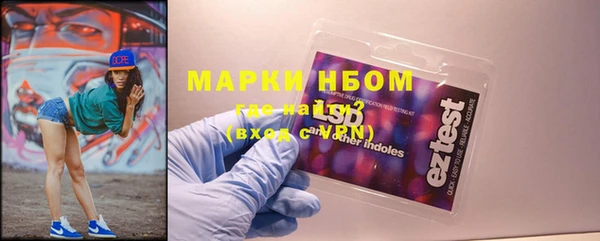 apvp Инта