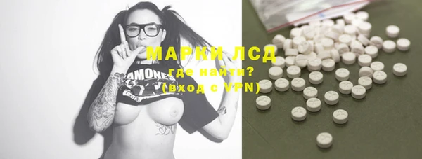 apvp Инта