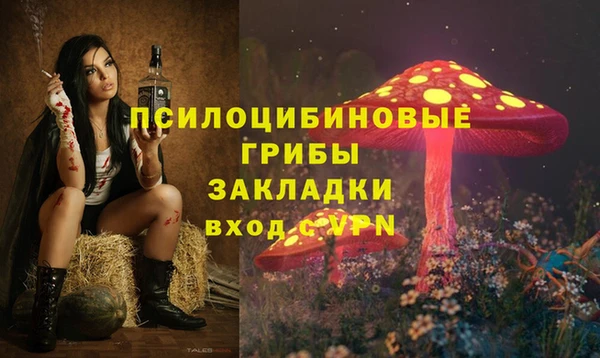 apvp Инта