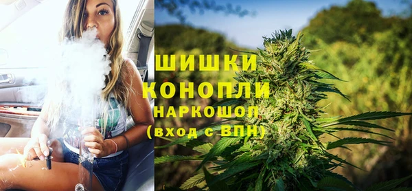 apvp Инта