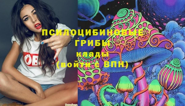прущие крисы Инсар