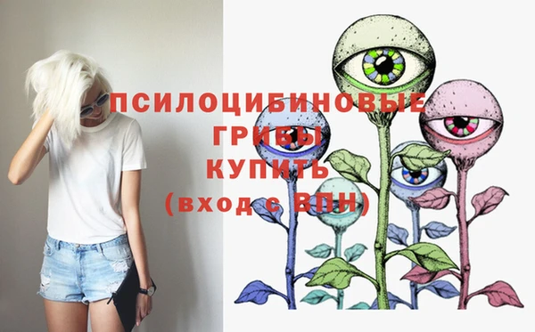 прущие крисы Инсар