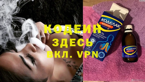 apvp Инта